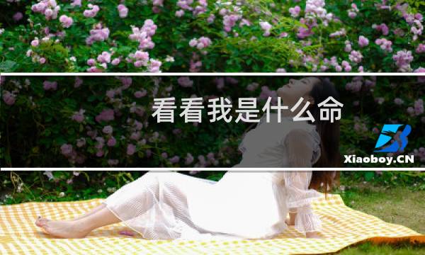 看看我是什么命