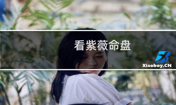 看紫薇命盘