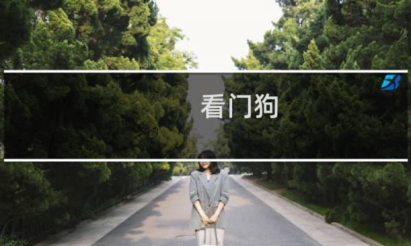 看门狗 攻略