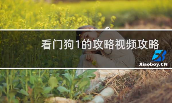 看門(mén)狗1的攻略視頻攻略