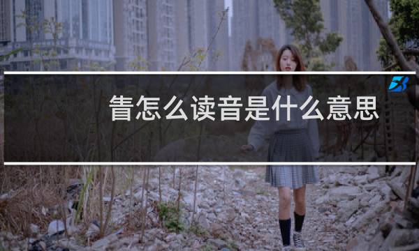 眚怎么读音是什么意思