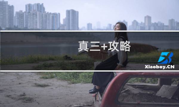 真三+攻略