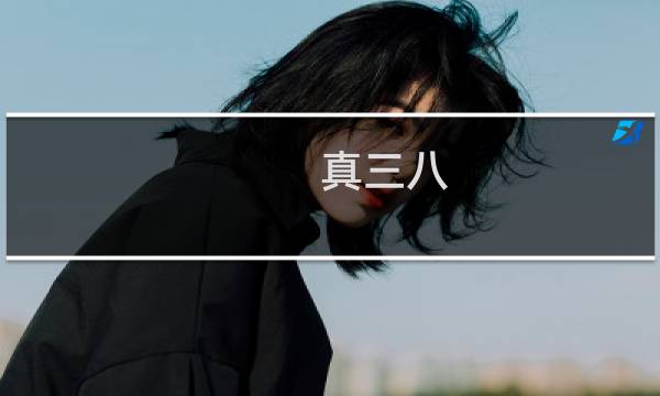 真三八 攻略