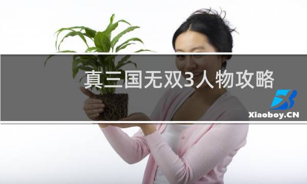 真三国无双3人物攻略