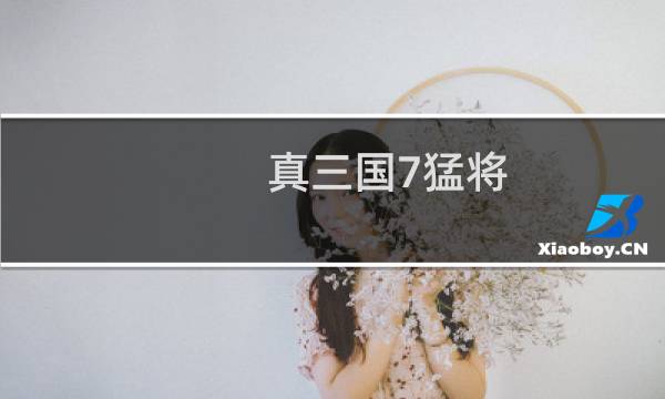 真三国7猛将 攻略