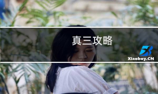真三攻略