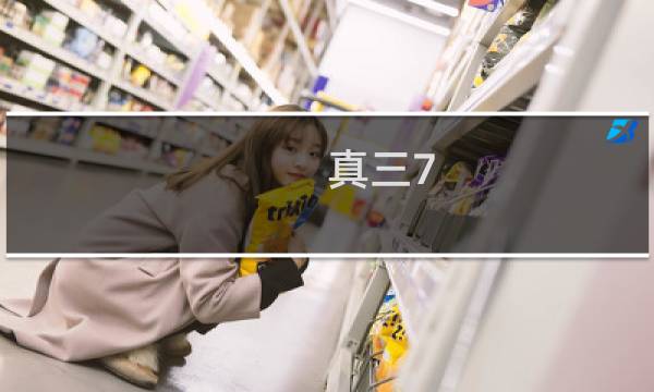 真三7 攻略