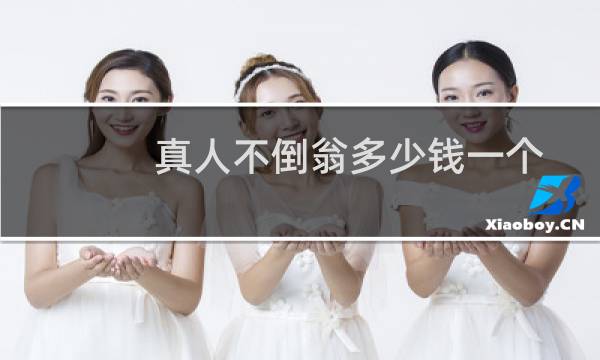 真人不倒翁多少钱一个