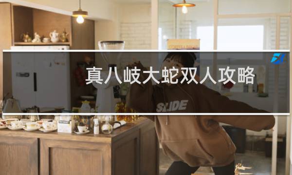 真八岐大蛇双人攻略