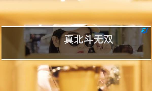 真北斗无双 攻略