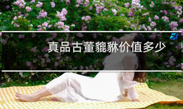 真品古董貔貅价值多少