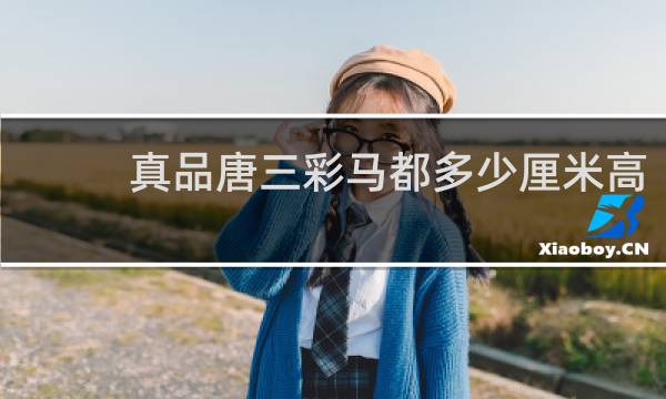 真品唐三彩马都多少厘米高