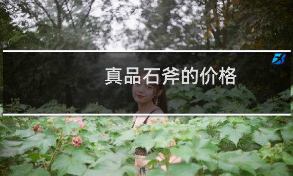 真品石斧的价格