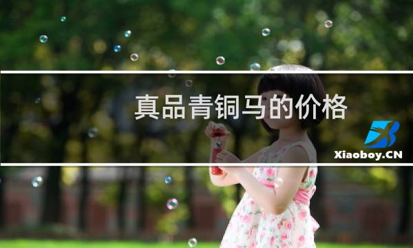 真品青铜马的价格