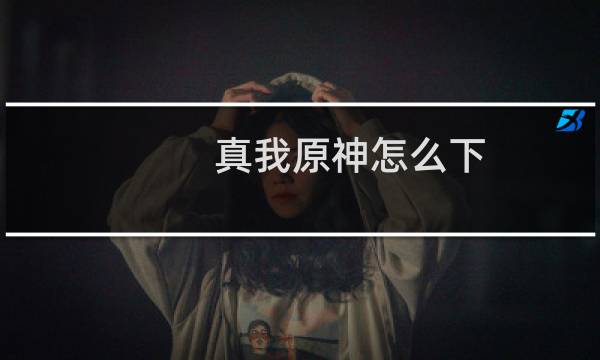 真我原神怎么下