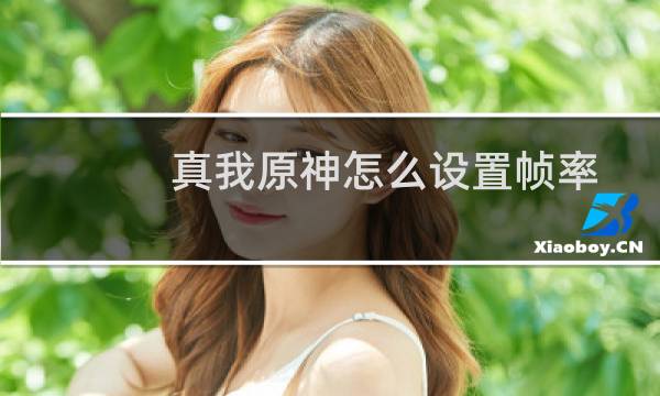 真我原神怎么设置帧率
