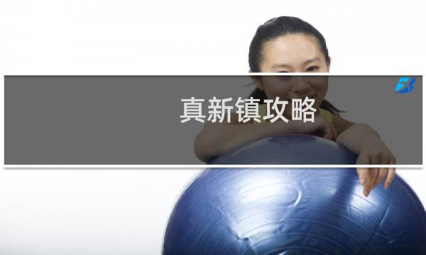 真新镇攻略