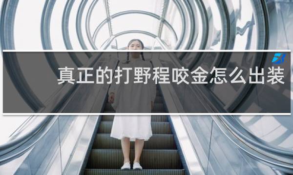 真正的打野程咬金怎么出装