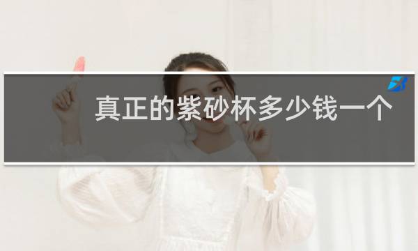 真正的紫砂杯多少钱一个