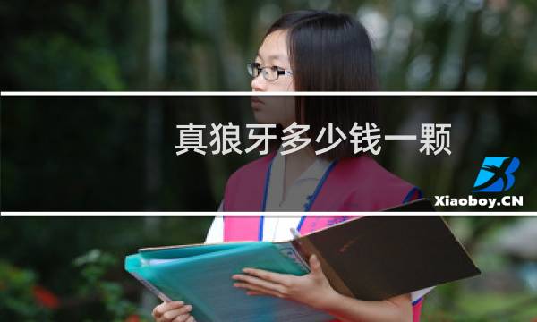 真狼牙多少钱一颗