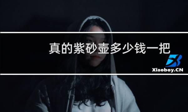 真的紫砂壶多少钱一把