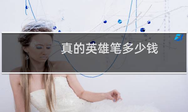 真的英雄笔多少钱
