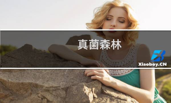 真菌森林 攻略