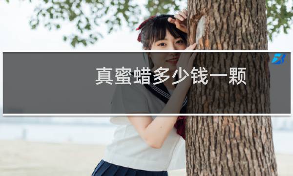 真蜜蜡多少钱一颗