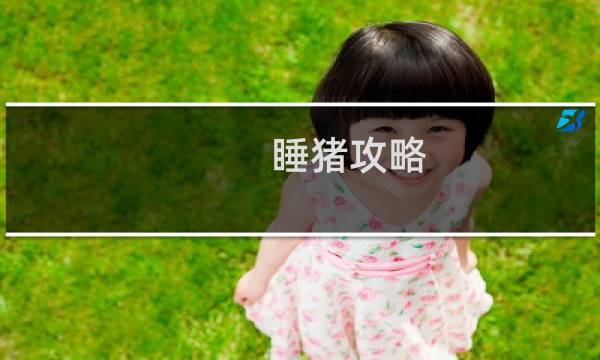 睡猪攻略