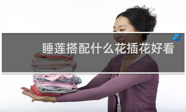 睡莲搭配什么花插花好看