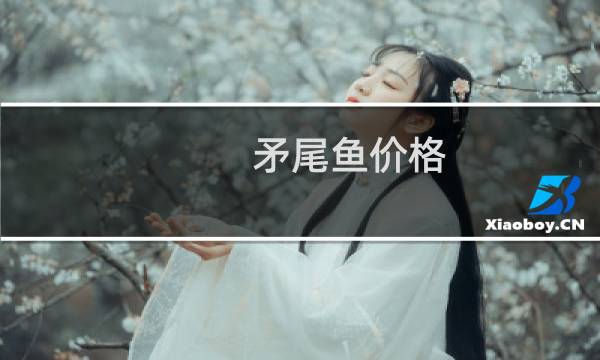矛尾鱼价格