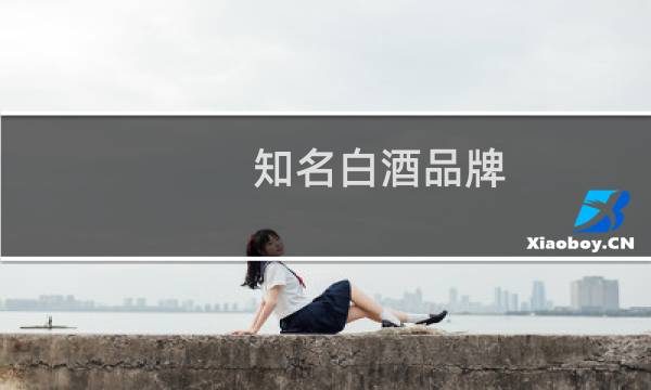 知名白酒品牌