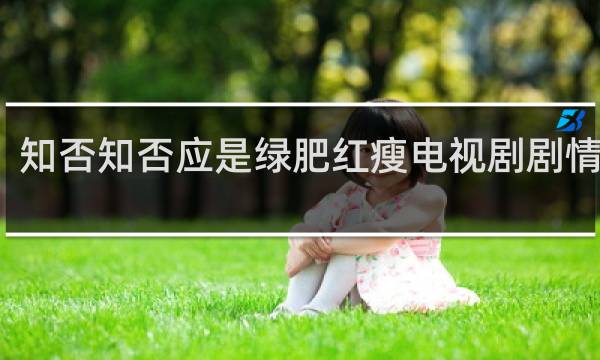 知否知否应是绿肥红瘦电视剧剧情介绍