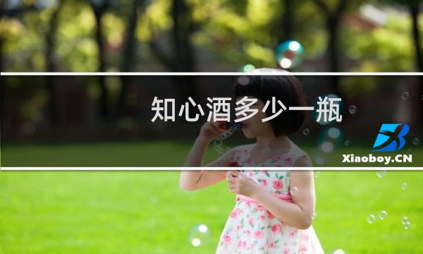 知心酒多少一瓶
