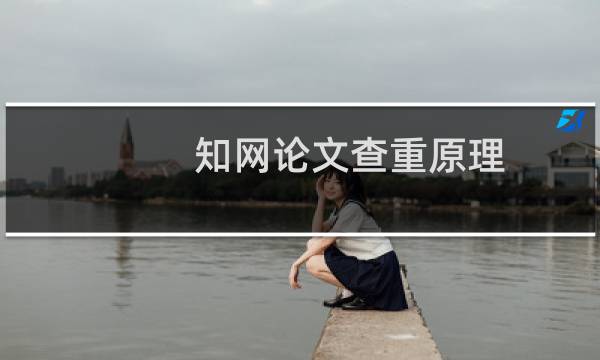 知网论文查重原理