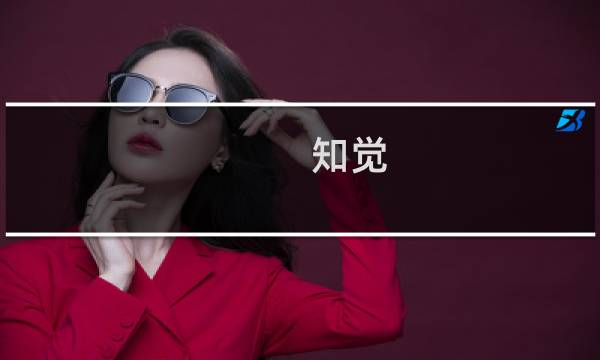 知觉 视频攻略