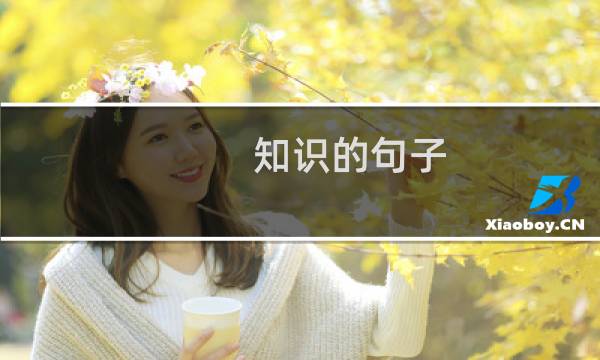 知识的句子