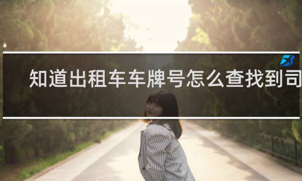 知道出租车车牌号怎么查找到司机