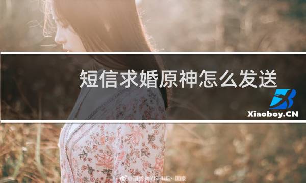 短信求婚原神怎么发送
