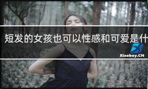 短发的女孩也可以性感和可爱是什么歌