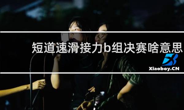 短道速滑接力b组决赛啥意思
