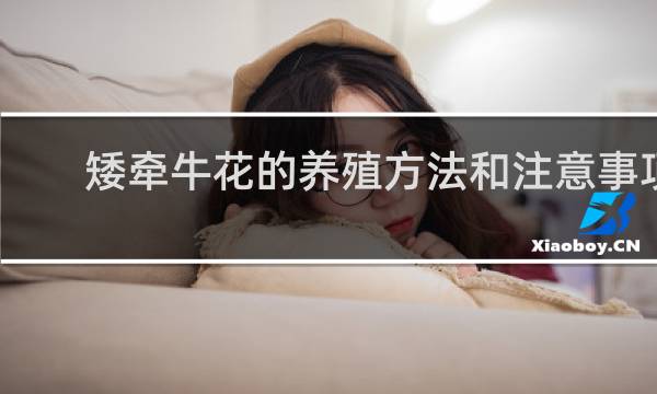 矮牵牛花的养殖方法和注意事项