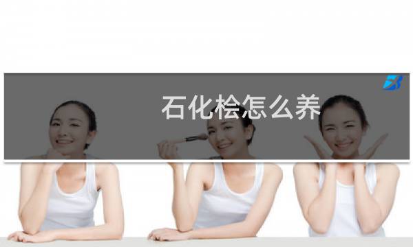 石化桧怎么养