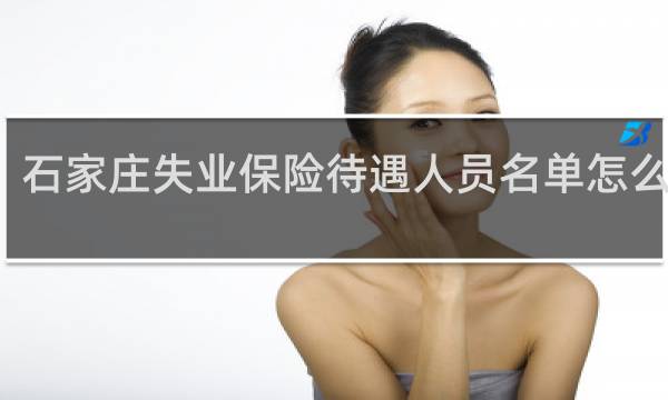 石家庄失业保险待遇人员名单怎么填写