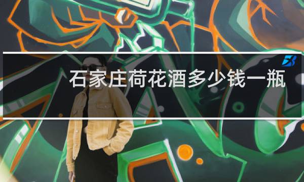 石家庄荷花酒多少钱一瓶