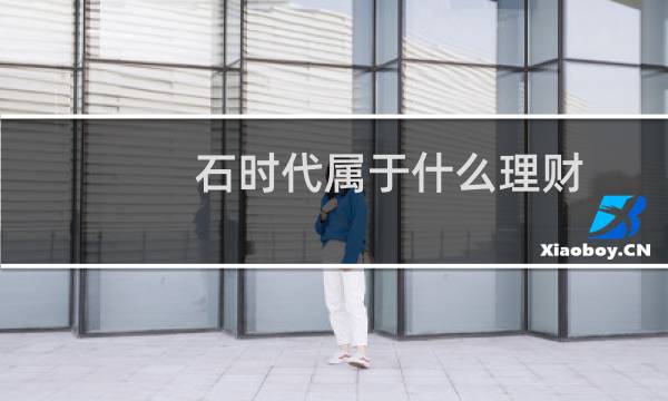 石时代属于什么理财