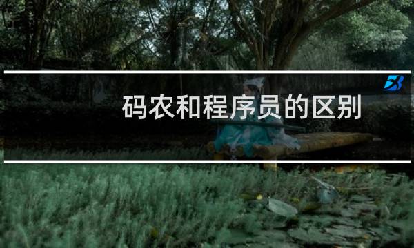 码农和程序员的区别
