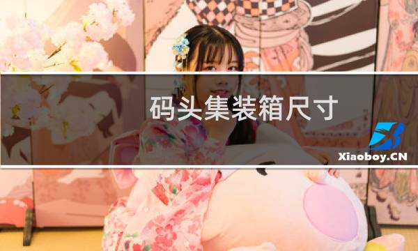 码头集装箱尺寸