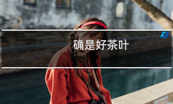 确是好茶叶
