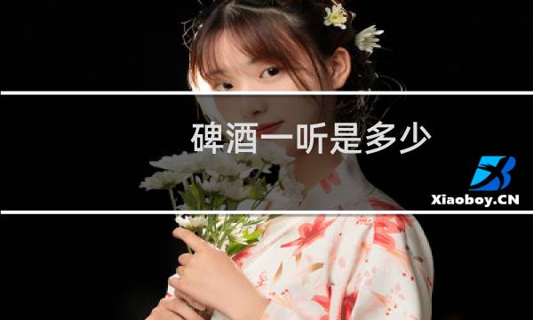 碑酒一听是多少